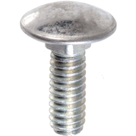 Auveco BUMPER BOLT STAINLESS STEEL CAP 1/4-20 X 3/45, 25PK 15545